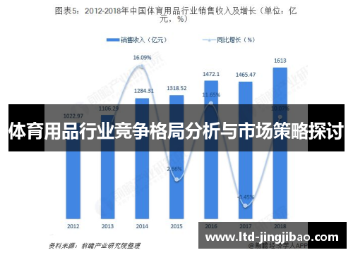 体育用品行业竞争格局分析与市场策略探讨