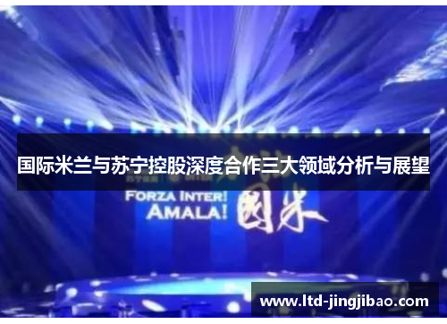 国际米兰与苏宁控股深度合作三大领域分析与展望