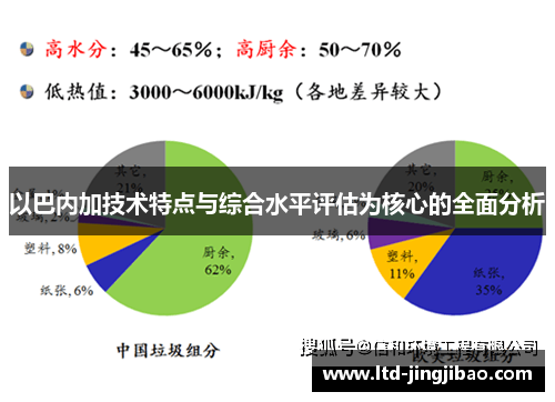 以巴内加技术特点与综合水平评估为核心的全面分析