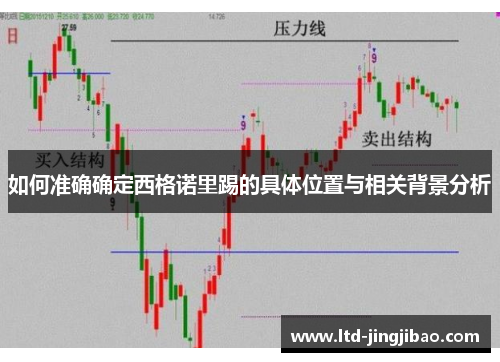 如何准确确定西格诺里踢的具体位置与相关背景分析