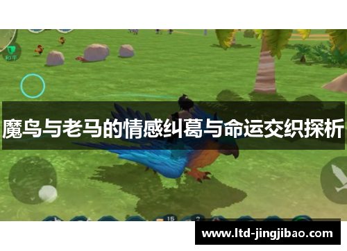 魔鸟与老马的情感纠葛与命运交织探析