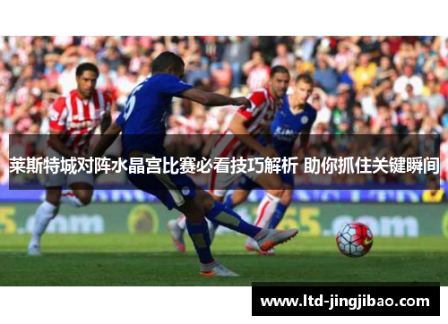 莱斯特城对阵水晶宫比赛必看技巧解析 助你抓住关键瞬间