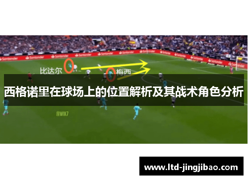 西格诺里在球场上的位置解析及其战术角色分析